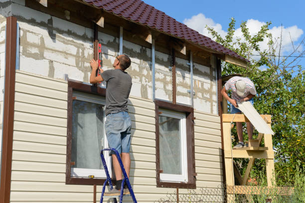 Best Siding Painting and Refinishing  in Crosby, TX